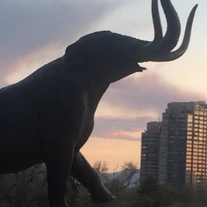 Meet your Posher, Ella